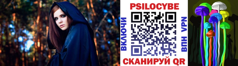 Купить  Сасово  Псилоцибиновые грибы Cubensis 
